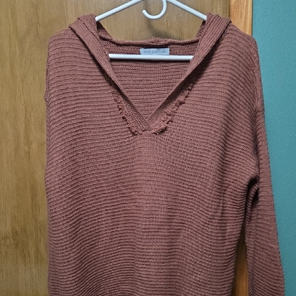 **2 for $10** Distressed V-Neck Hoodie Sweater in Rust
